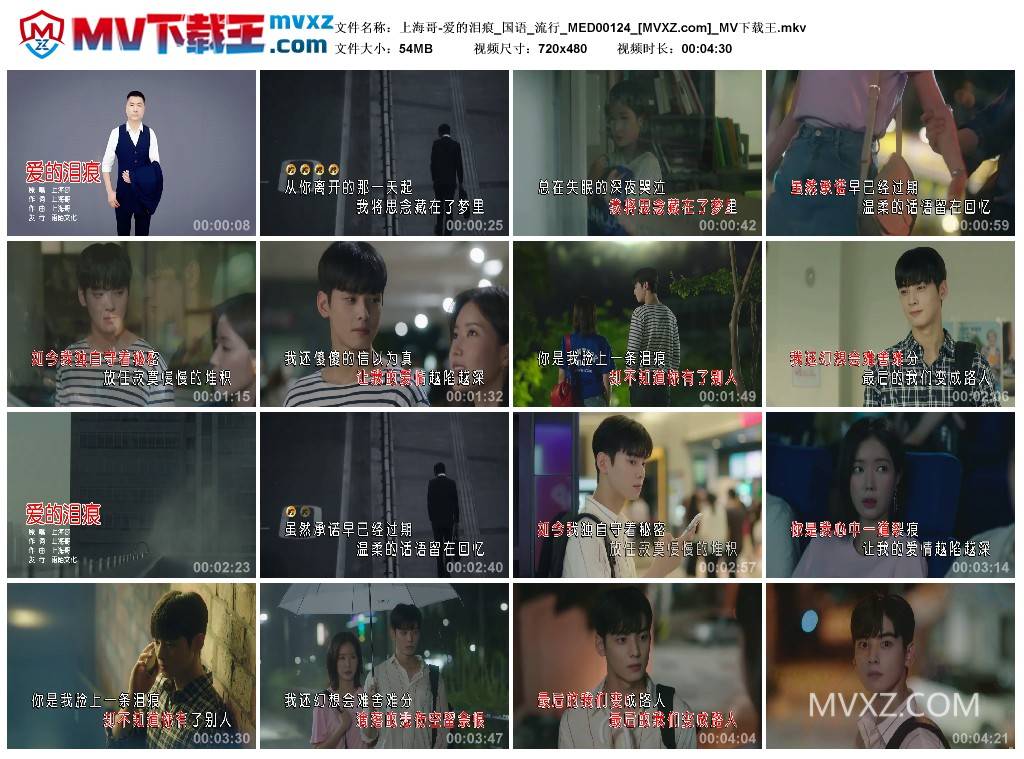 上海哥-爱的泪痕_国语_流行_MED00124